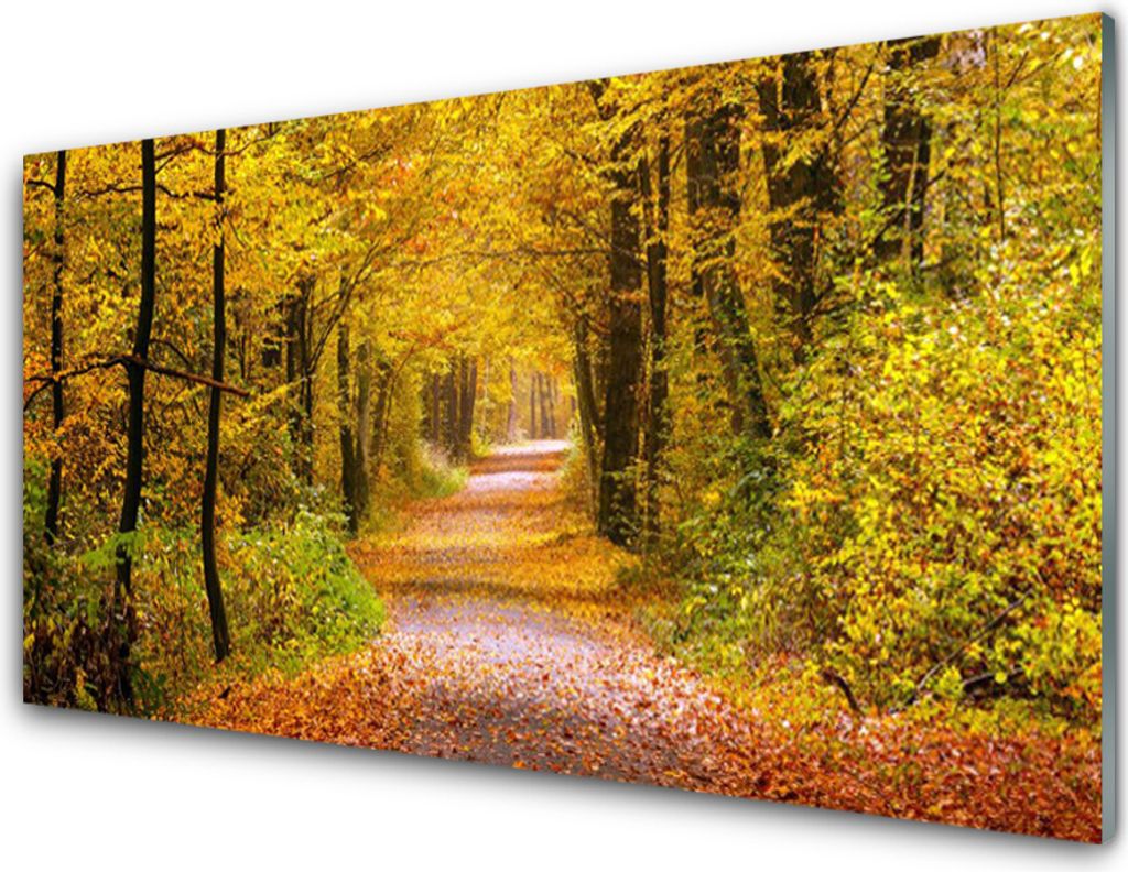 Acrylglasbilder 100x50 Wandbild Druck Wald Natur