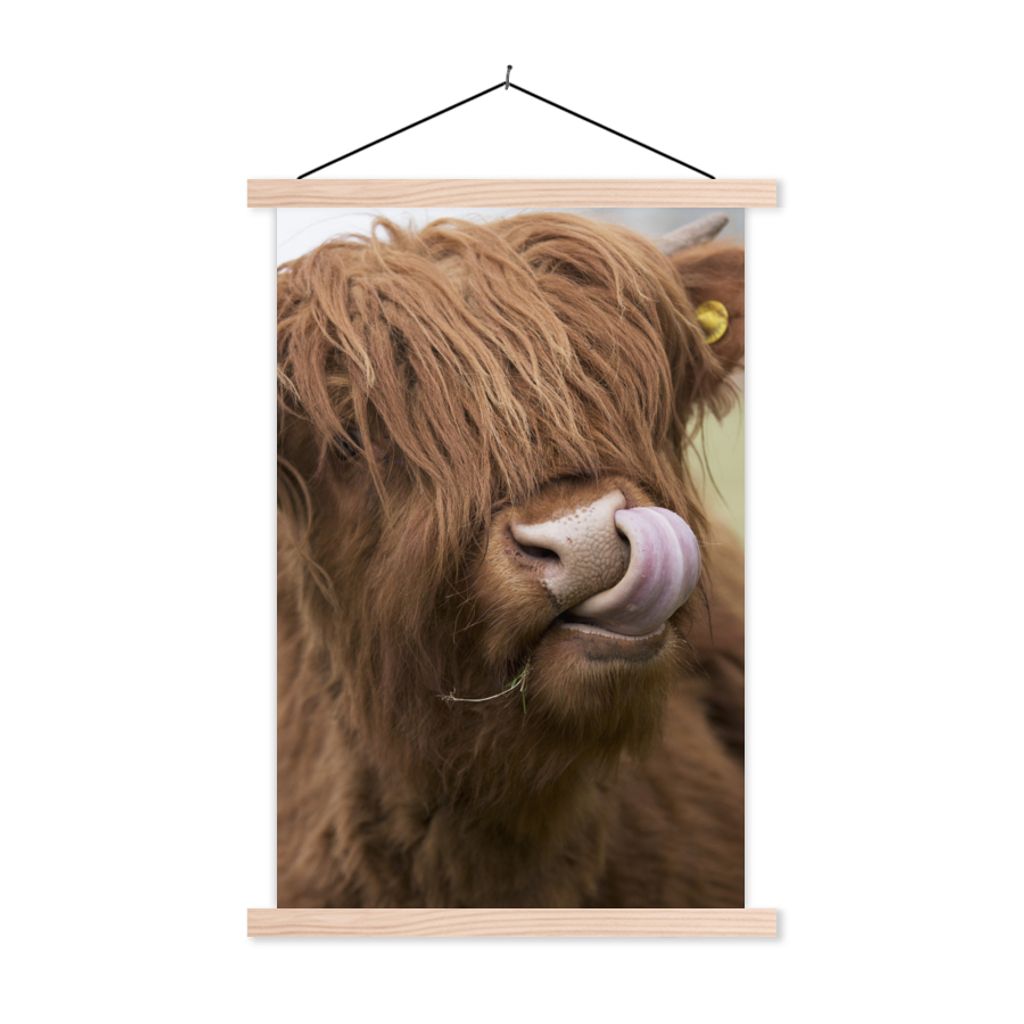 MuchoWow Textilposter Schottischer Highlander - Braun - Kuh 40x60 cm mit holzfarbenen Rahmen - Poster