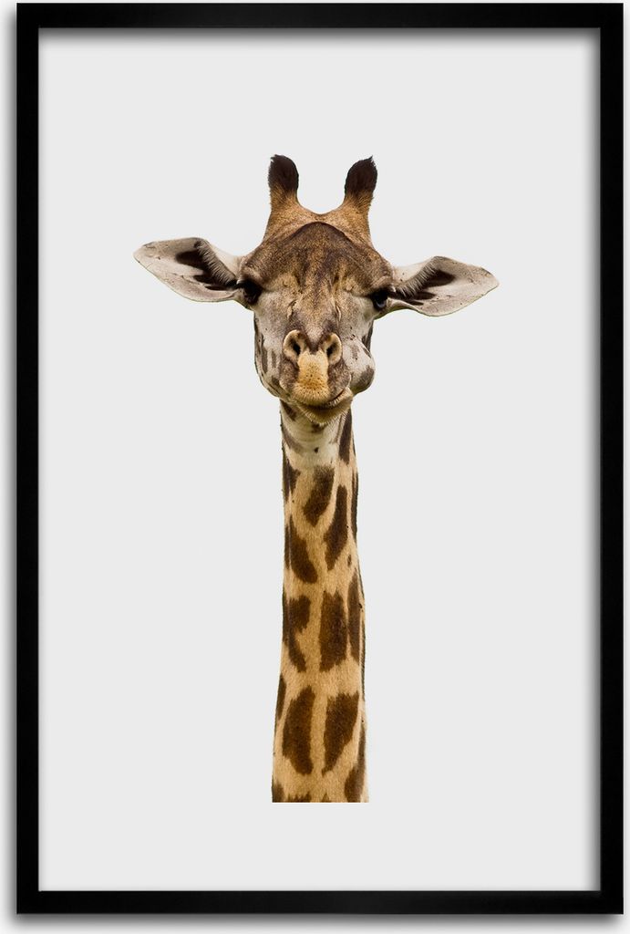 Bild - Bilderrahmen - 40 cm x 60 cm - MDF - Rahmen - Wandkunst - Giraffe