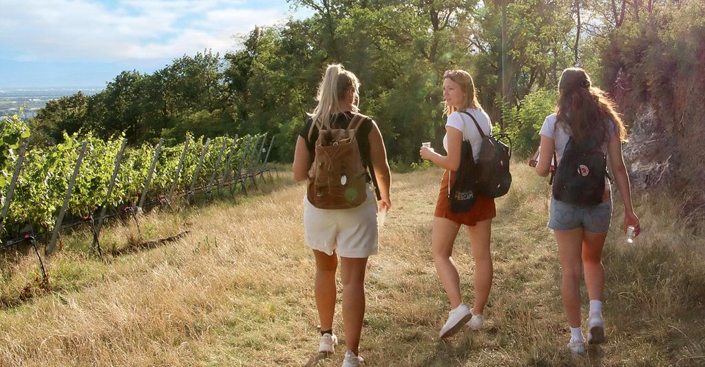 mydays Outdoor Escape Gruppe - Anfänger "In Vino Veritas" Meersburg; Erlebnis verschenken oder selbst erleben; Gutschein für 5 Person(en)