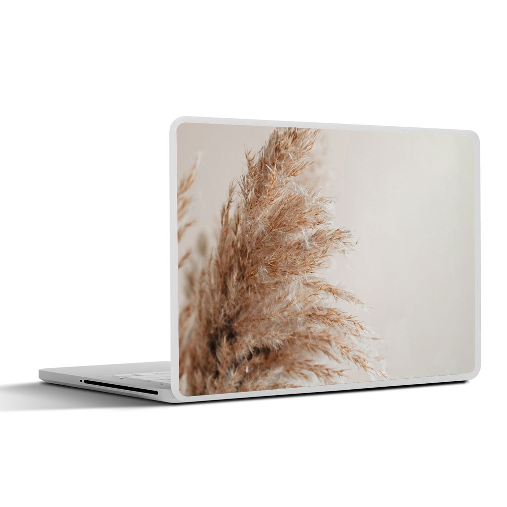 MuchoWow Laptop Aufkleber Sticker Cover Gras - Pflanzen - Natur - Pampasgras 31x22.5 cm - Laptop-Deko
