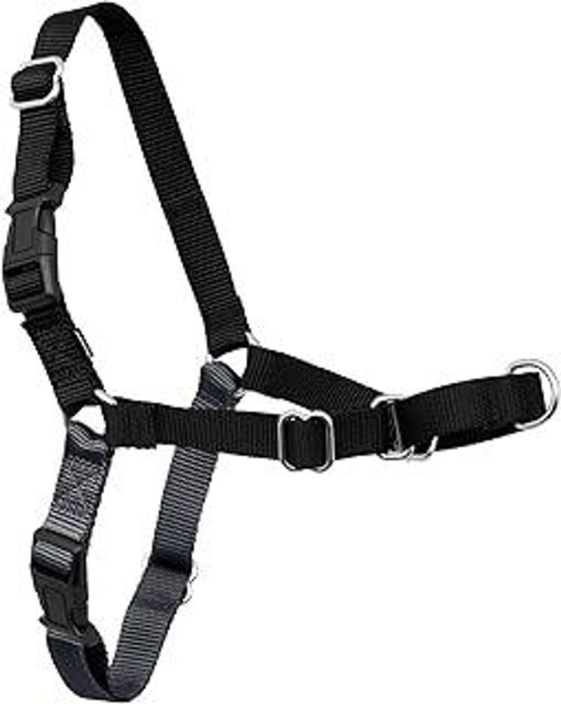 PetSafe, Easy Walk Hundegeschirr, das ultimative Geschirr gegen Ziehen bei Spaziergängen, übernimm die Kontrolle und lehre EIN besseres Leinenver...