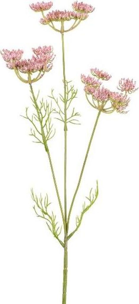 artplants.de Dekozweig Wilde Möhre KRAHEN, rosa, 50cm - Künstlicher Zweig