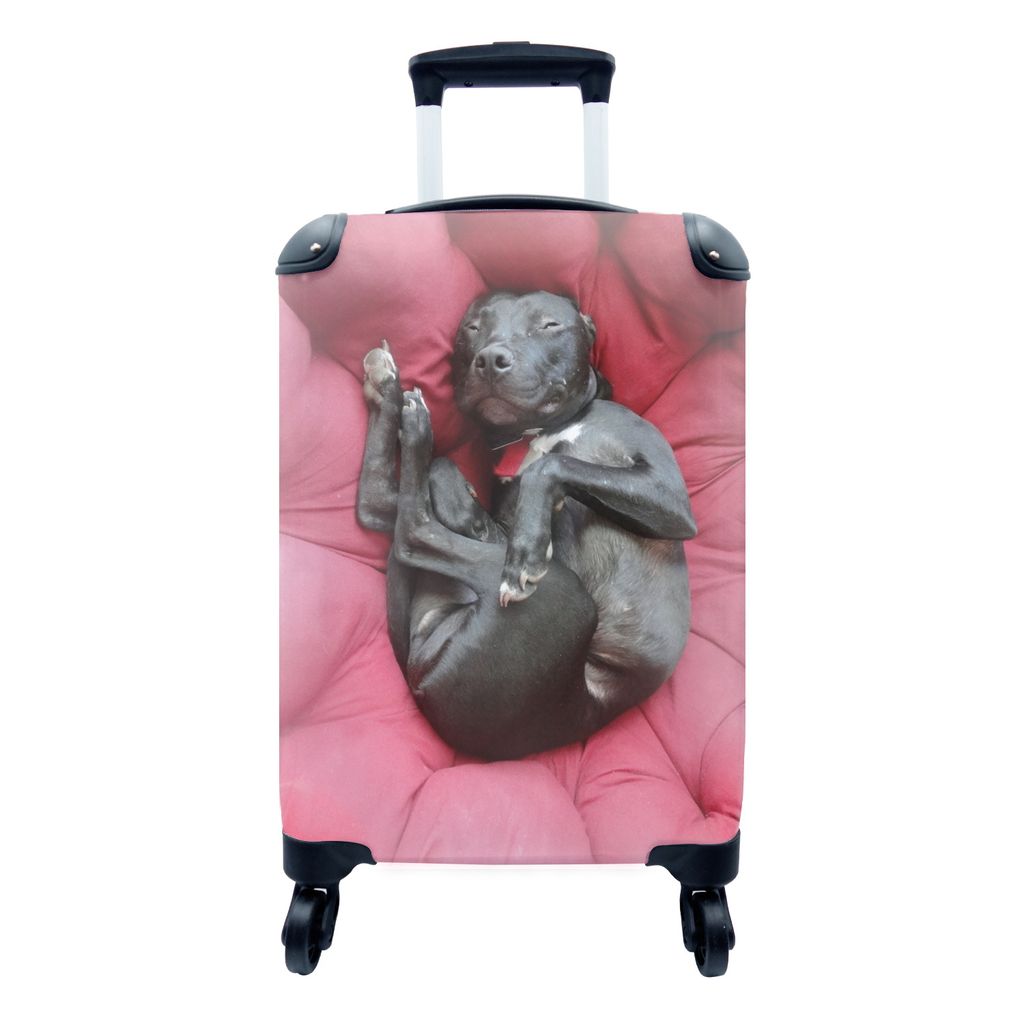 MuchoWow Koffer Handgepäck Trolley Rollkoffer Kleine Reisekoffer mit 4 Rollen - Pitbull in einem roten Sessel - Cabin Size < 55x40x23 cm & 55x40...