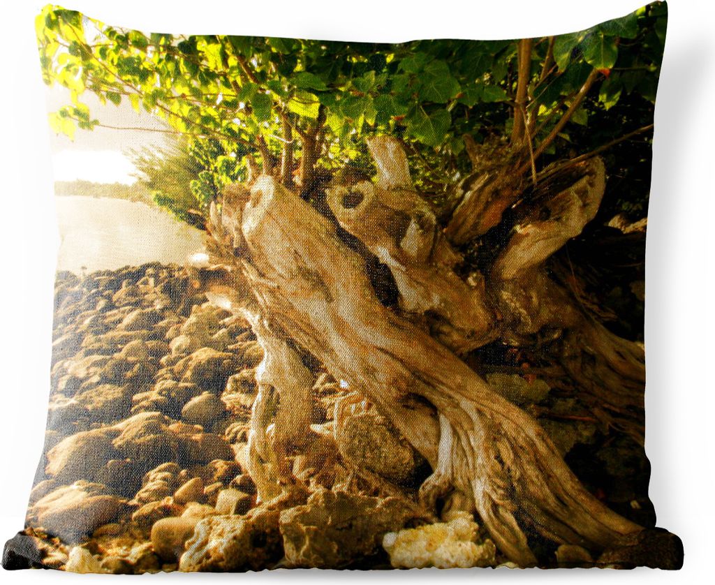 MuchoWow Outdoor Kissen - Ein gefällter Baum mit neuem Leben auf der Insel Mo'orea - 50x50 cm - Wetterfest - Lounge Kissen - Komfortabel - Kisse...
