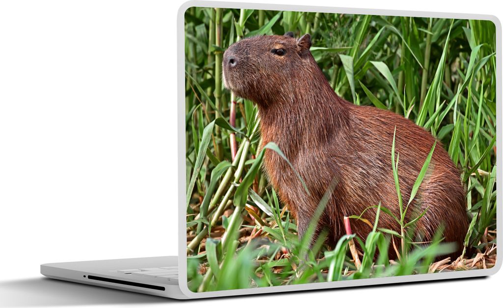 MuchoWow Laptop Aufkleber Sticker Cover Ein Wasserschwein sitzt am Flussufer im Sumpfgebiet des Pantanal 40x30 cm - Laptop Dekoration - Selbstkle...