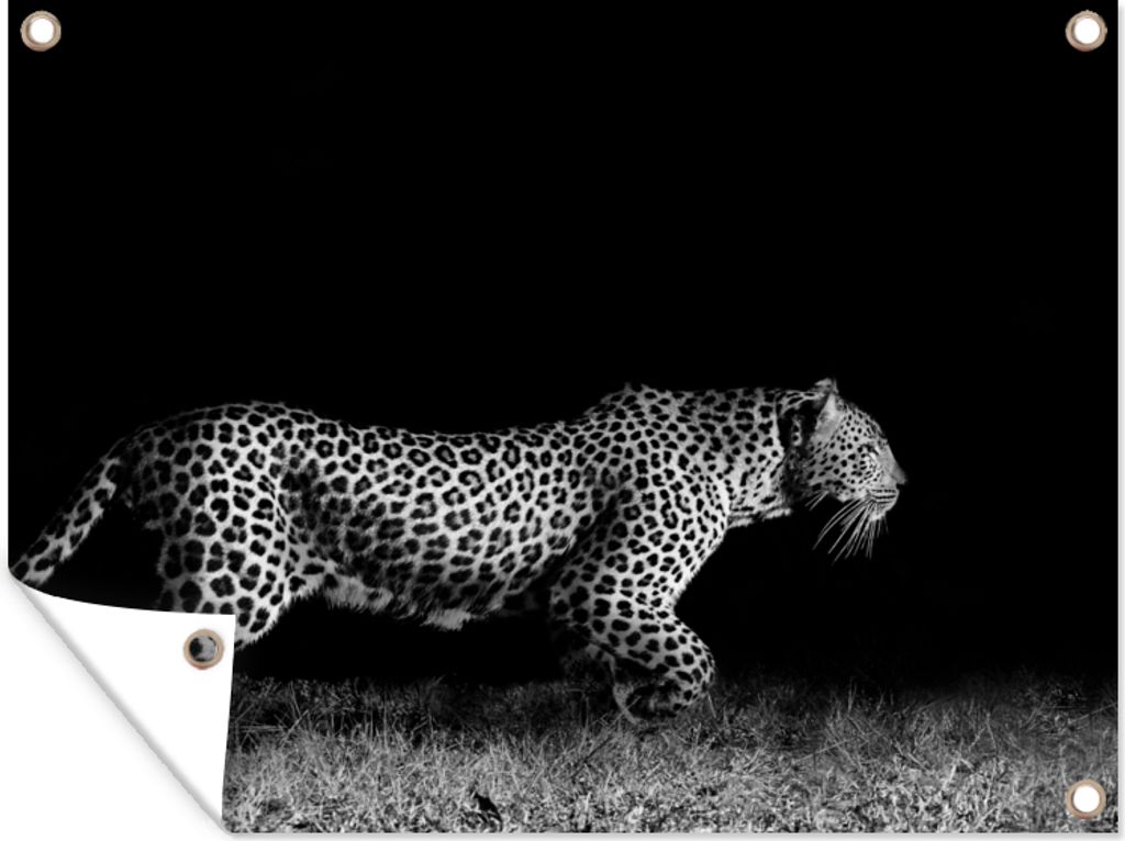 MuchoWow 120x90 cm Outdoor-Poster Gartendeko Sichtschutz Garten Poster für den Garten Wildtiere - Leopard - Gras - Schwarz - Weiß