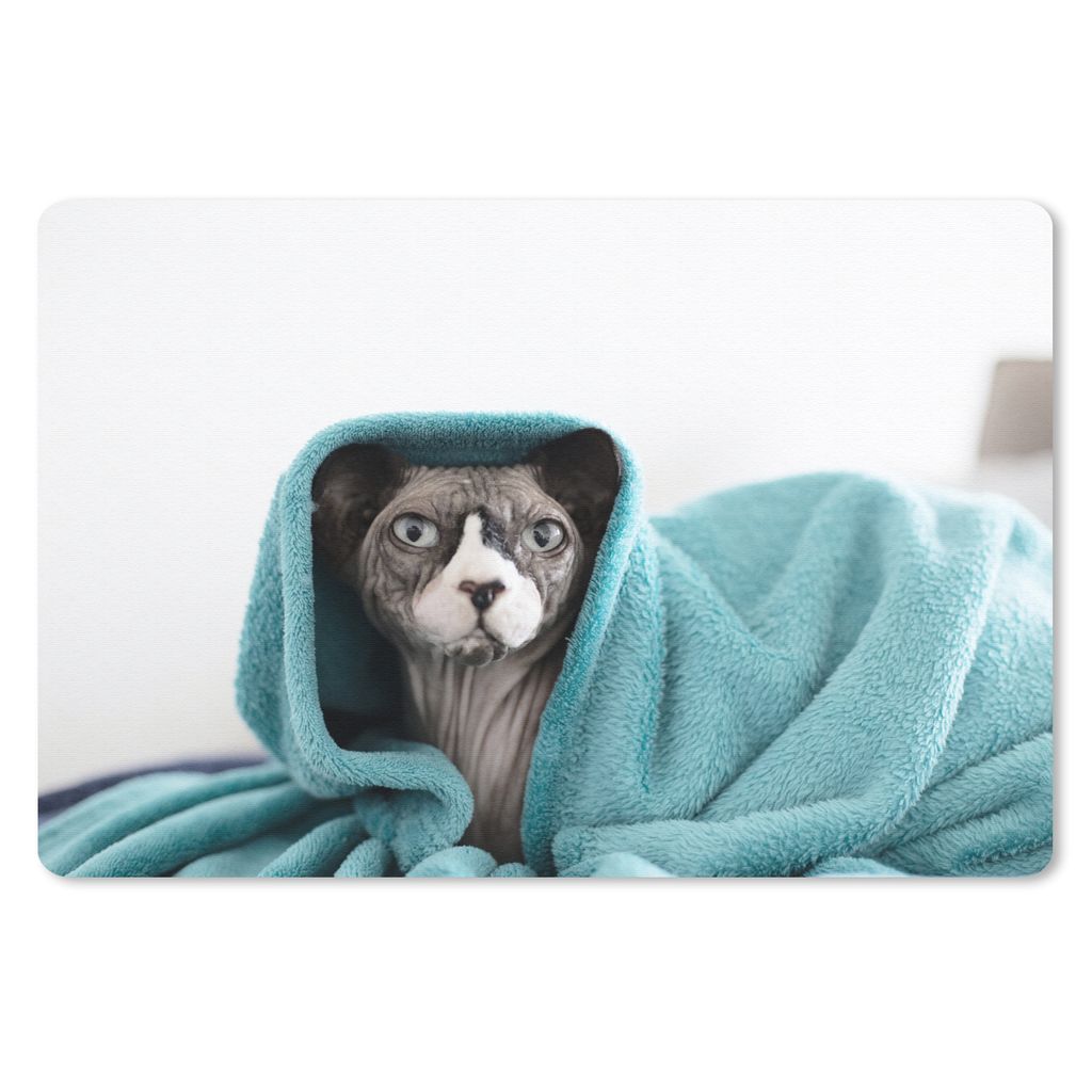 MuchoWow Schreibtischunterlage Sphynx-Katze unter einer blauen Decke 60x40 cm - XXL Mauspad - Großes Mauspad