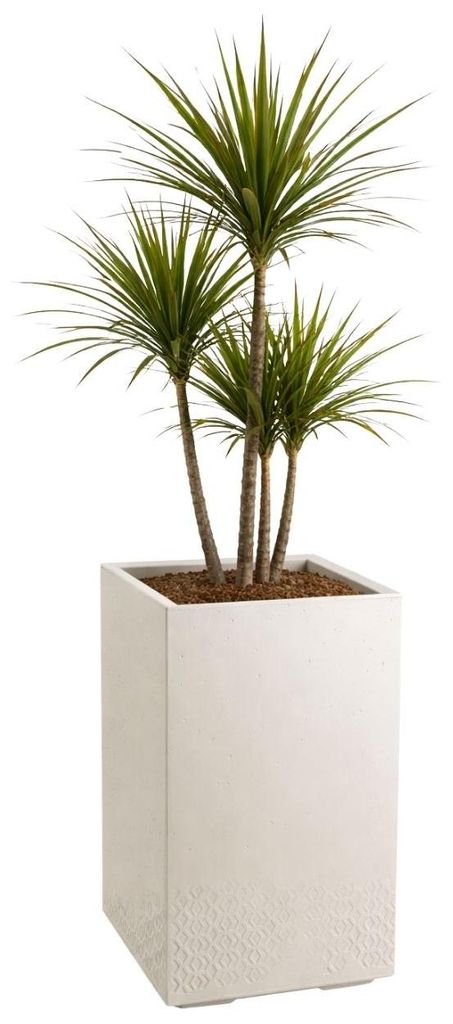 HowHomely | Blumentopf - Blumenkübel - beige - 60x40 cm - Übertopf - Betonstruktur - Dekorativ