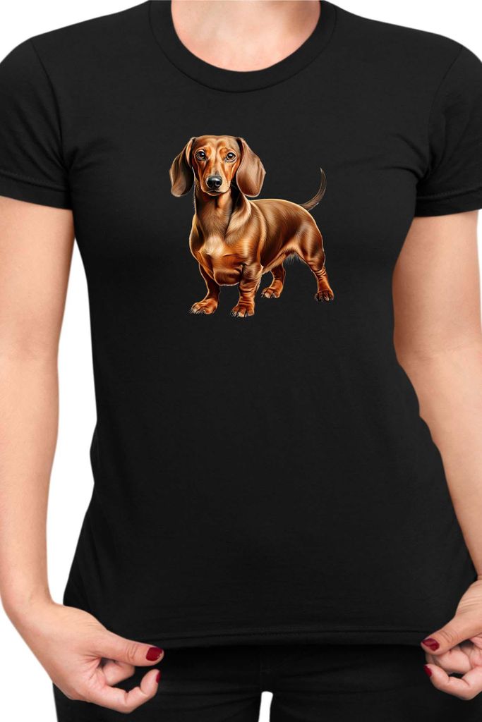 Damen T-Shirt Dogs Breeds Dachshund Dog Breed 007, Lady 2XL / Schwarz