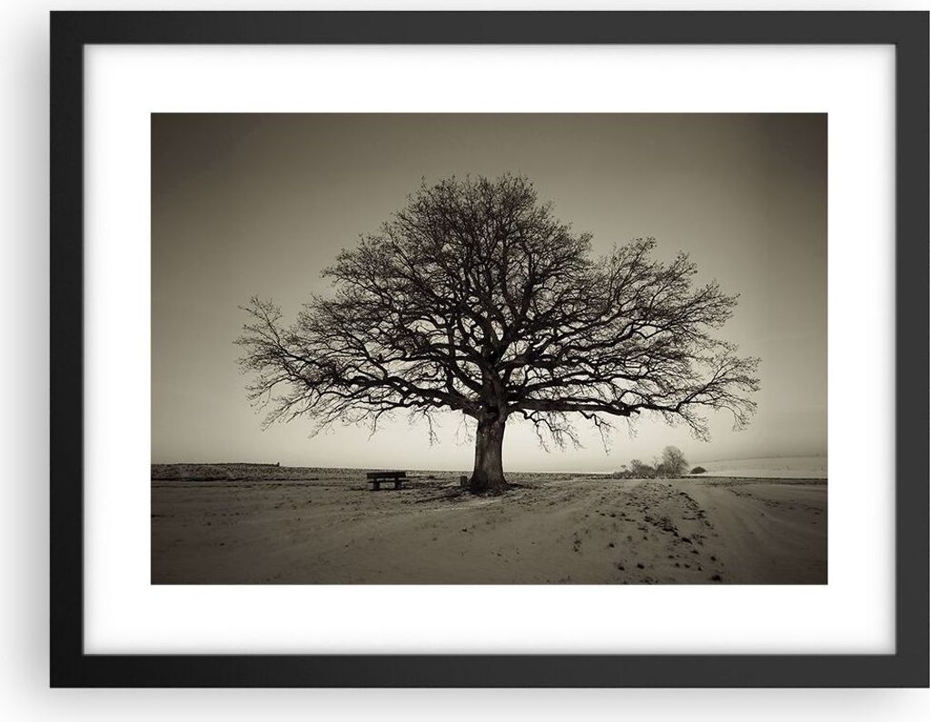 Gerahmtes Poster - Schwarzer Rahmen - Baum Schnee Sepia - 40x30 cm - Wand Bild - Wanddeko - Wandbilder - Kunstposter - Wandposter - Bilderrahmen - ...