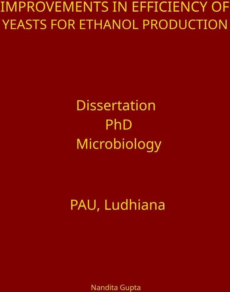 Improvements in Efficiency of Yeasts for Ethanol Production