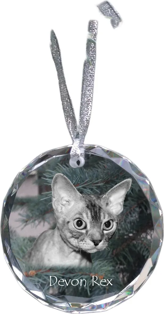 Acquista Cristallo Devon Rex Art-Dog: Decorazione Natalizia di Classe
