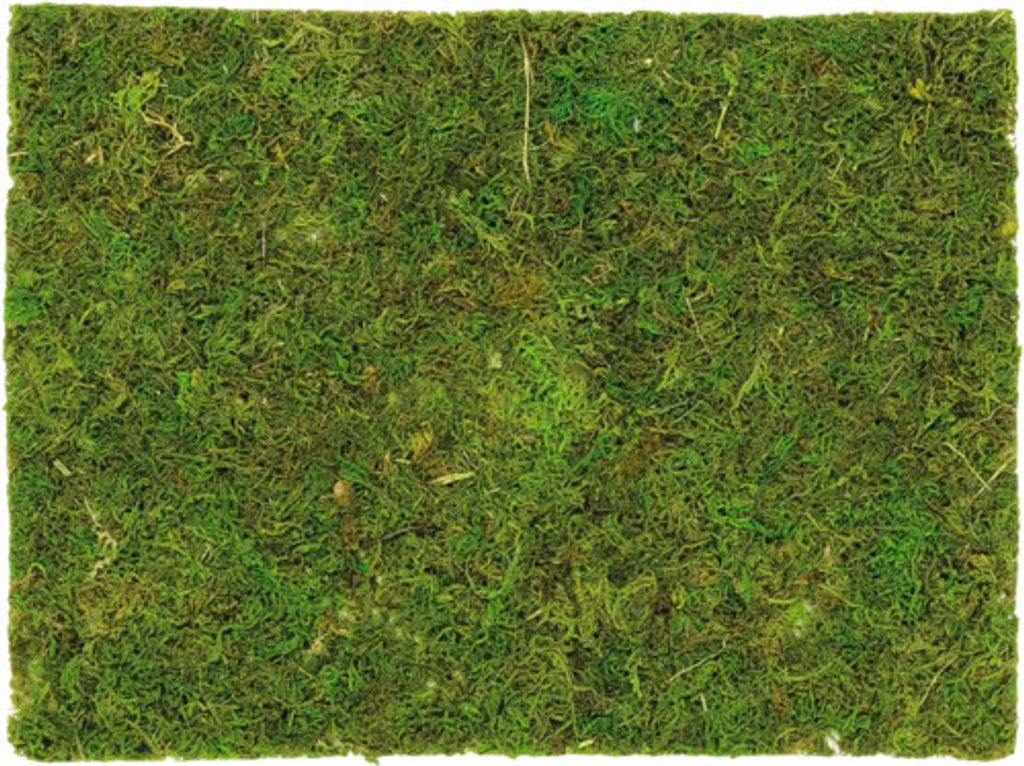Moosplatte auf Netz grün 30x20 cm