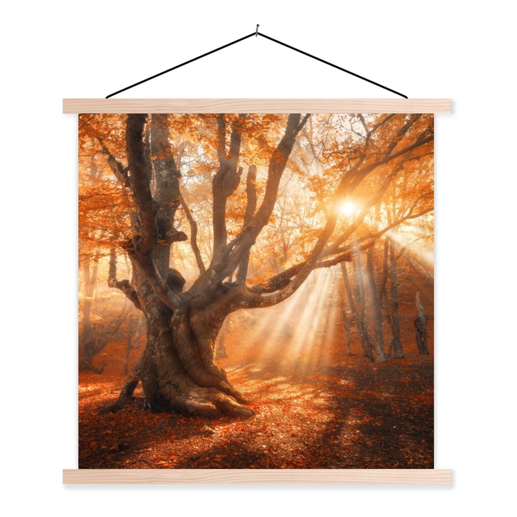 MuchoWow Textilposter Baum - Natur - Herbst 40x40 cm mit holzfarbenen Rahmen - Posterleiste