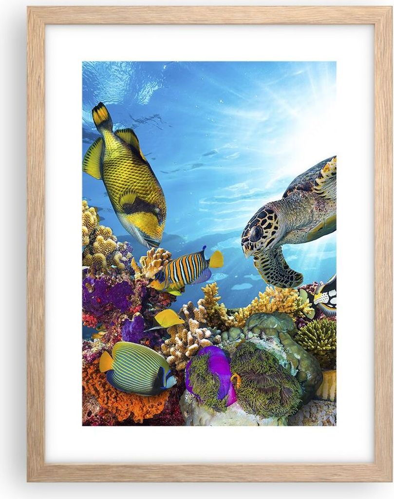 Gerahmtes Poster - Rahmen in heller Eiche - Riff Koralle Fisch - 30x40 cm - Wand Bild - Wanddeko - Wandbilder - Wandposter - Bilderrahmen - Bilder ...