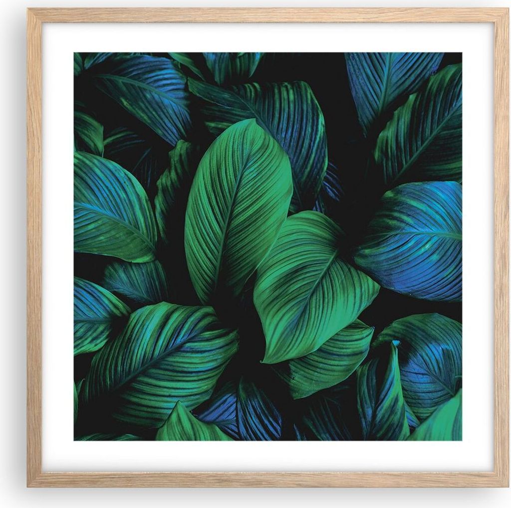 Gerahmtes Poster - Rahmen in heller Eiche - Blätter Pflanzen Exotik - 50x50 cm - Wand Bild - Wanddeko - Wandbilder - Kunstposter - Wandposter - Bi...