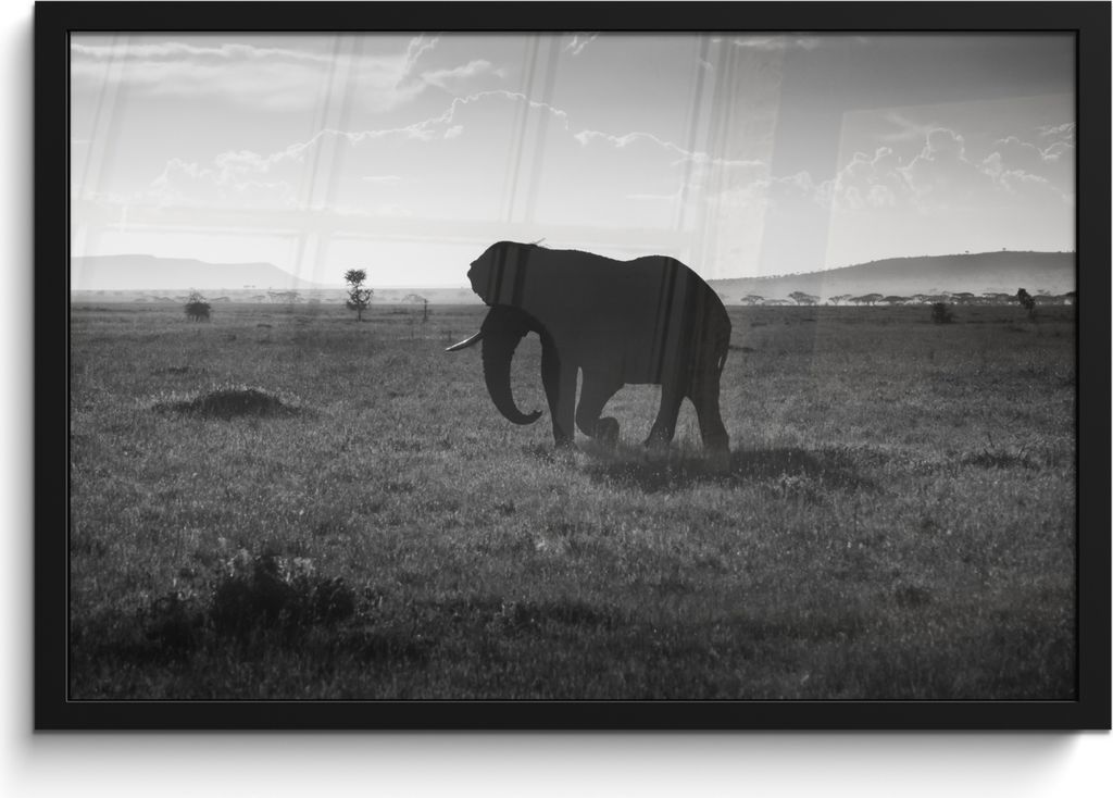 MuchoWow MuchoWow Gerahmtes Poster Elefant - Einfarbig - Tiere - Schwarz und weiß 60x40 cm - Poster mit zchwarzem Bilderrahmen - Printing - Wa...