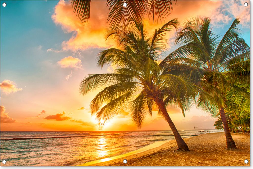 MuchoWow 120x80 cm Outdoor-Poster Gartendeko Sichtschutz Garten Poster für den Garten Sonnenuntergang - Palme - Wolken - Meer - Strand