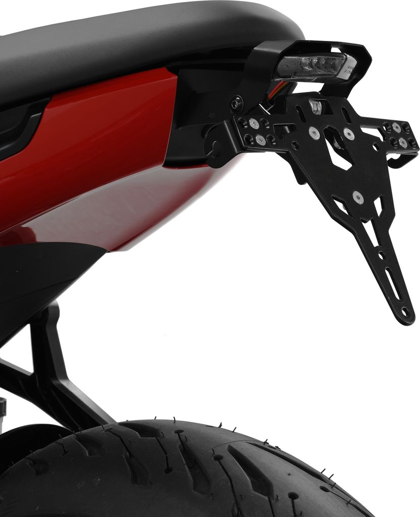 ZIEGER Pro Kennzeichenhalter kompatibel mit Triumph Trident 660