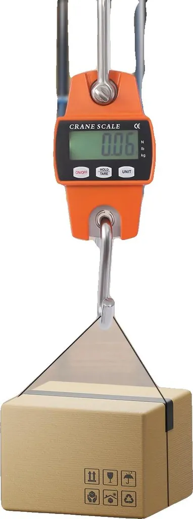 Bilancia Sospesa LCD 300 kg - Dinamometro Digitale Alta Precisione