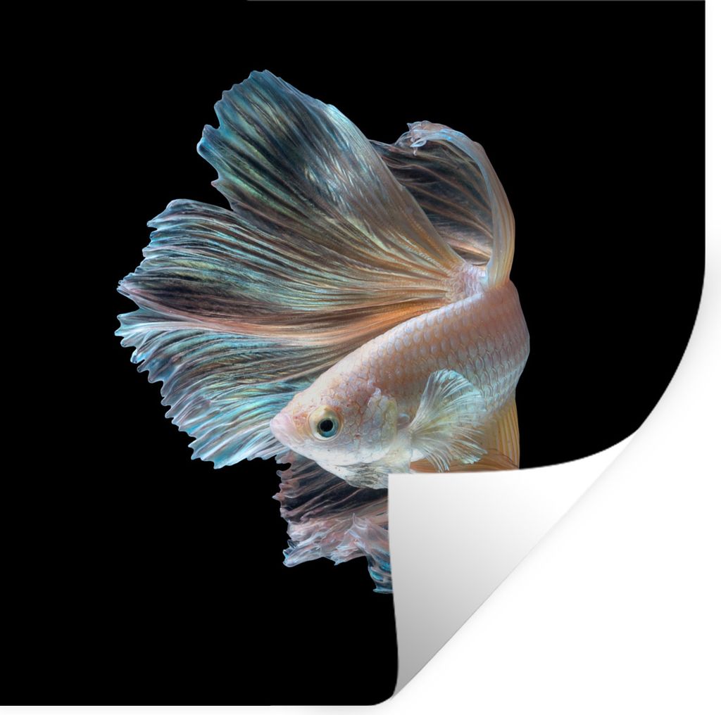 MuchoWow Wandtattoo Wandsticker Wandaufkleber Fisch - Schwanz - Schwarz 30x30 cm Selbstklebend und Repositionierbar - Repositionierbar - Wasser a...