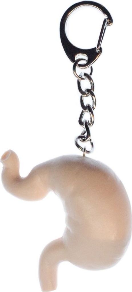 Magen Schlüsselanhänger Miniblings Anhänger Schlüsselring Organ Mensch Anatomie