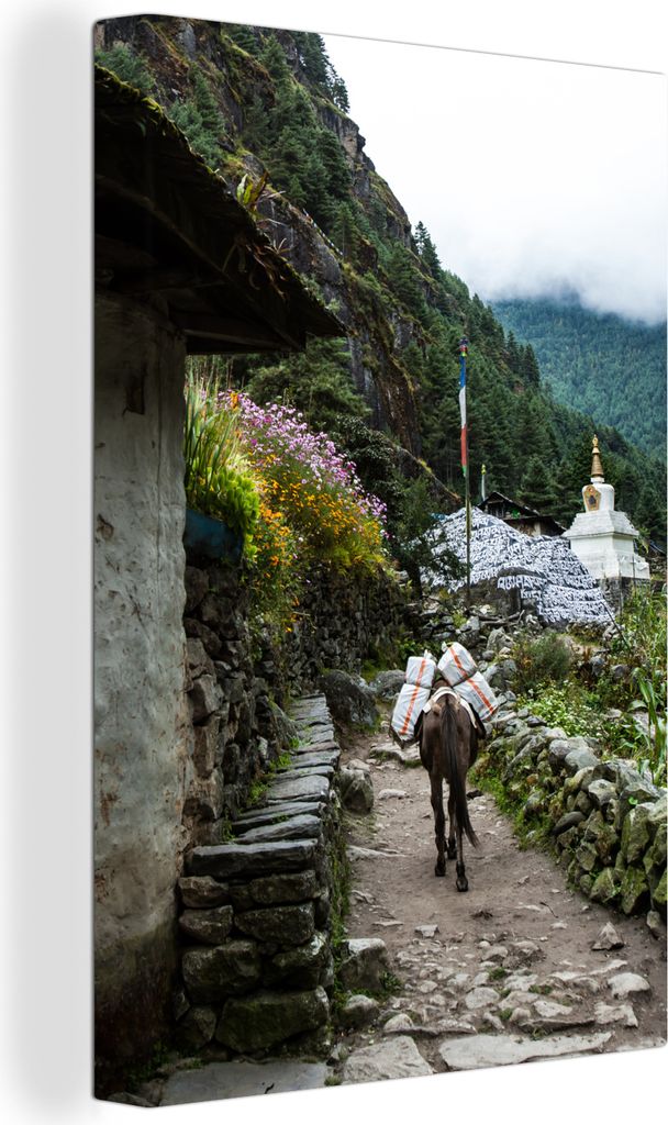 OneMillionCanvasses - Leinwandbilder - 90x140 cm, Everest Basislager Nepal Fotoabzug, Wandbilder Kunstdruck Wanddekoration - Foto auf Leinwand - ...