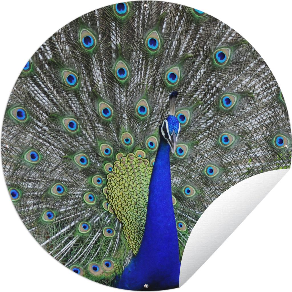 MuchoWow Gartenposter Outdoor-Poster Rund Pfau - Schnabel - Grün Ø 150 cm Gartendeko Rundes Poster draußen