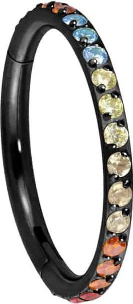 Ohrpiercing, Nasenpiercing, Septum Piercing Titan Segmentring Clicker EINGEFASSTE BUNTE KRISTALLE Schwarz Innendurchmesser: 10 mm