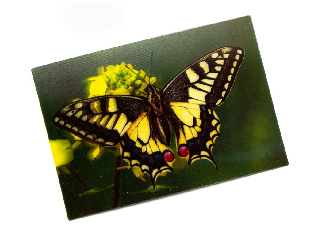3 D Ansichtskarte Schmetterling, Schwalbenschwanz, Produktbild 