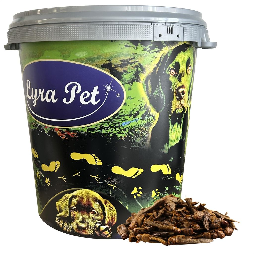 5 kg Lyra Pet® gedroogde sprinkhanen in een verpakking van Productafbeelding 