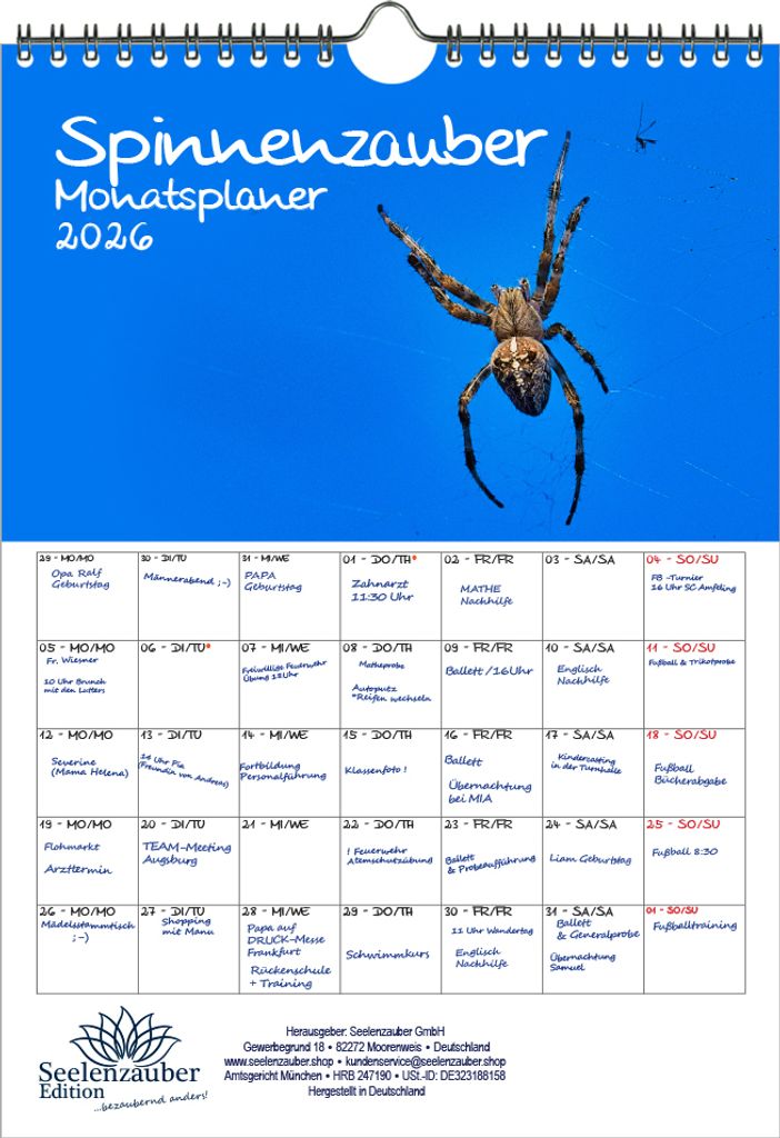 Spinnenzauber Planer DIN A4 Kalender für 2026 - Seelenzauber