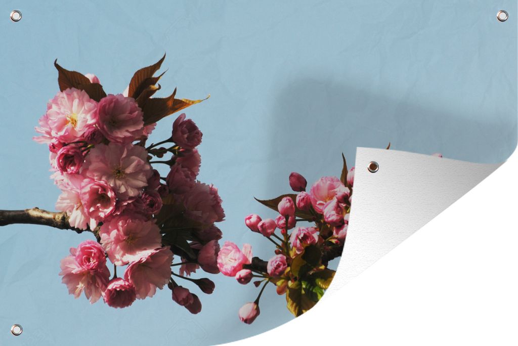 MuchoWow 60x40 cm Outdoor-Poster Gartendeko Sichtschutz Garten Poster für den Garten Kirschblüte