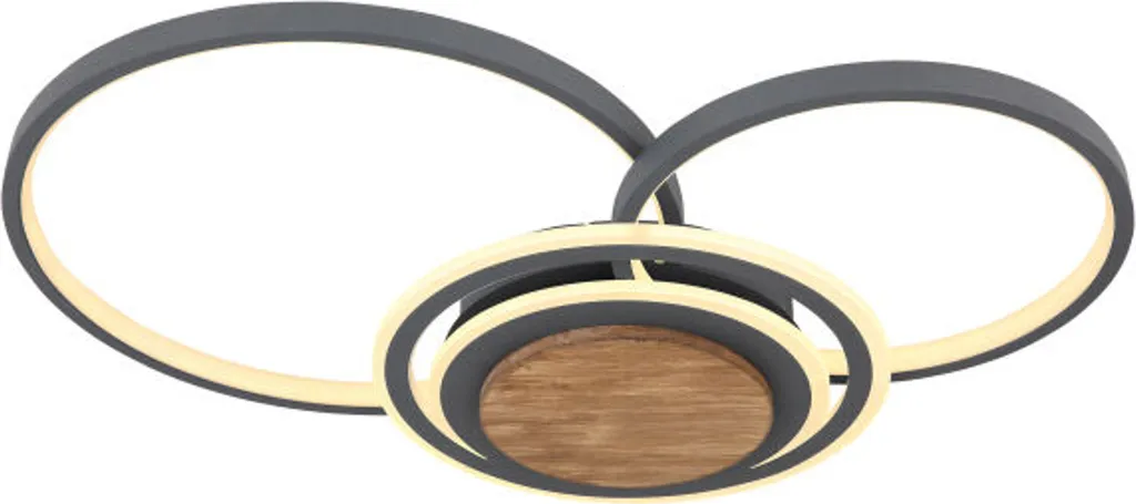 Globo Plafonnier Métal Graphite 1xLED - Luminaire Design Moderne
