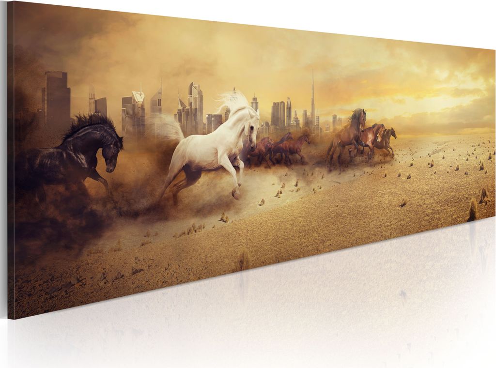 Modernes Wandbild 020116-36 (120x40) - 1 Teilig Bilder Fotografie auf Vlies Leinwand Foto Bild Dekoration Wand Bilder Kunstdruck Natur
