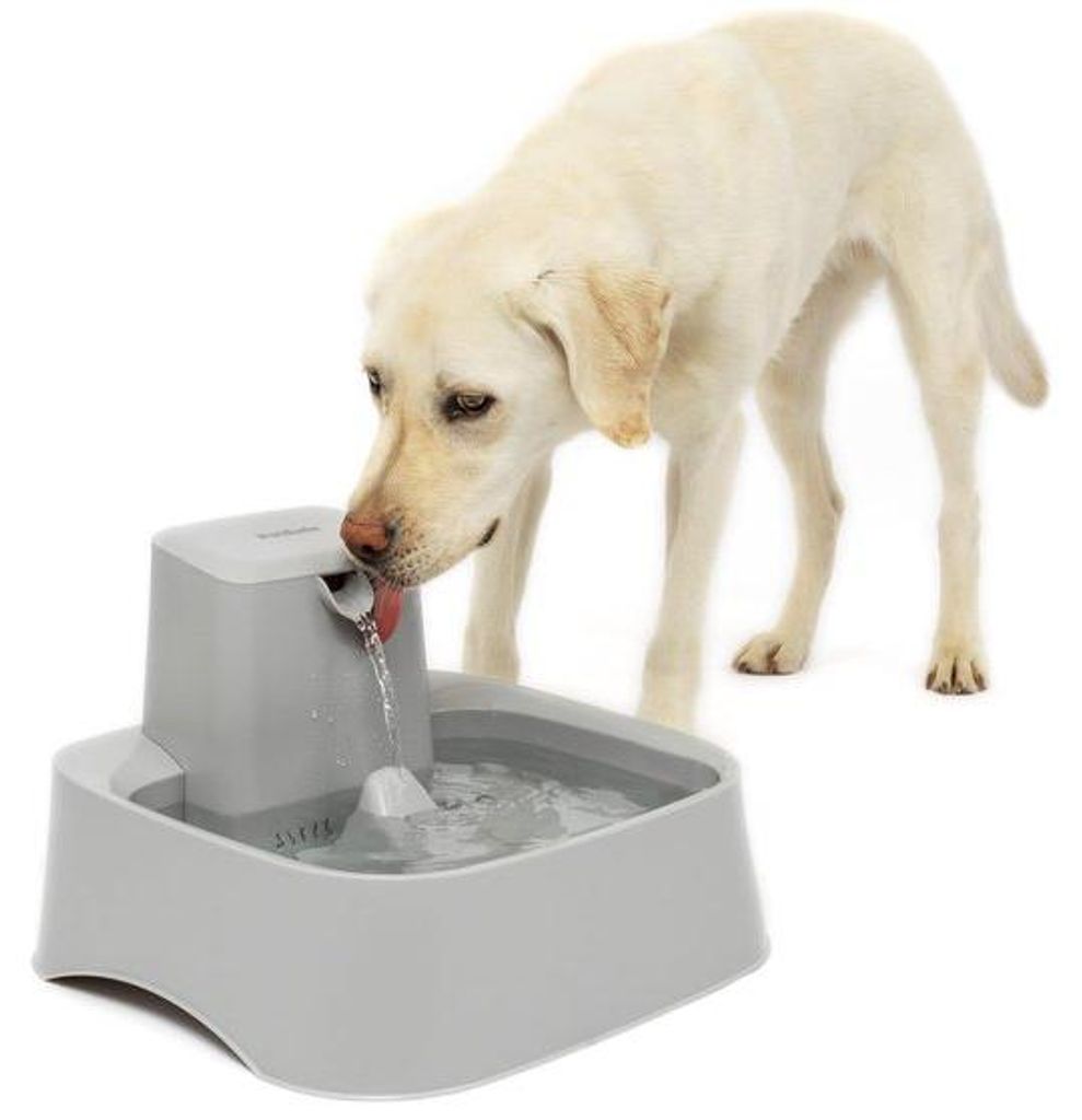 Automatische Katzen- und Hundewasserstation – Inkl. Pumpe und Wasserfilter – Spülmaschinengeschützt – Leicht zu reinigend