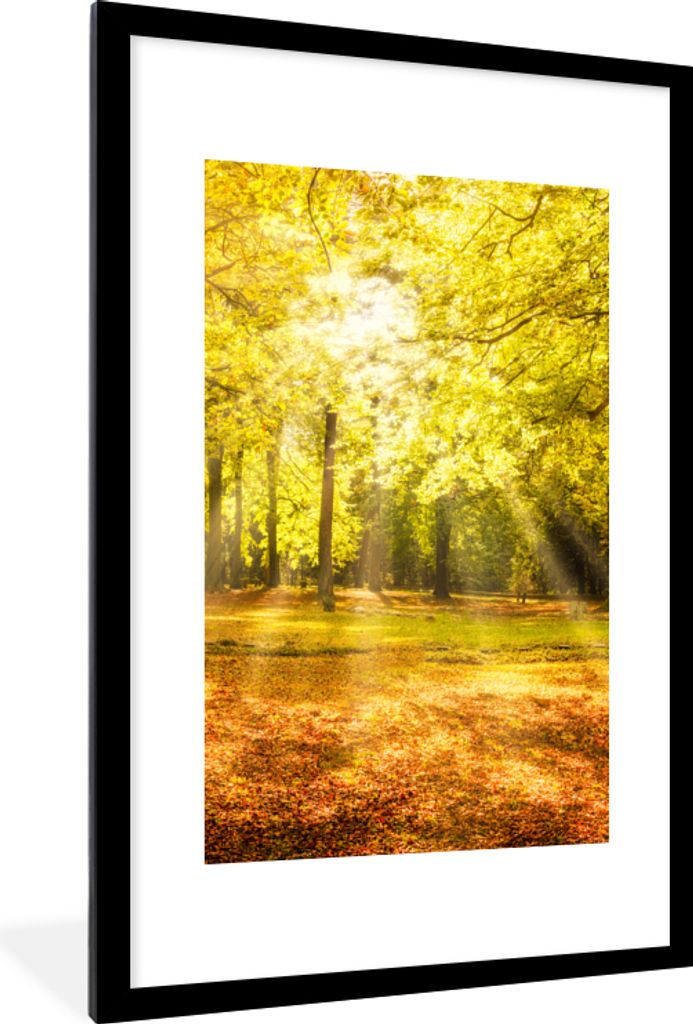 MuchoWow Gerahmtes Poster Baum - Natur - Sonne - Landschaft - Wald 60x90 cm - Poster mit Schwarzem Bilderrahmen Wandposter Rahmen Foto Bilder - D...
