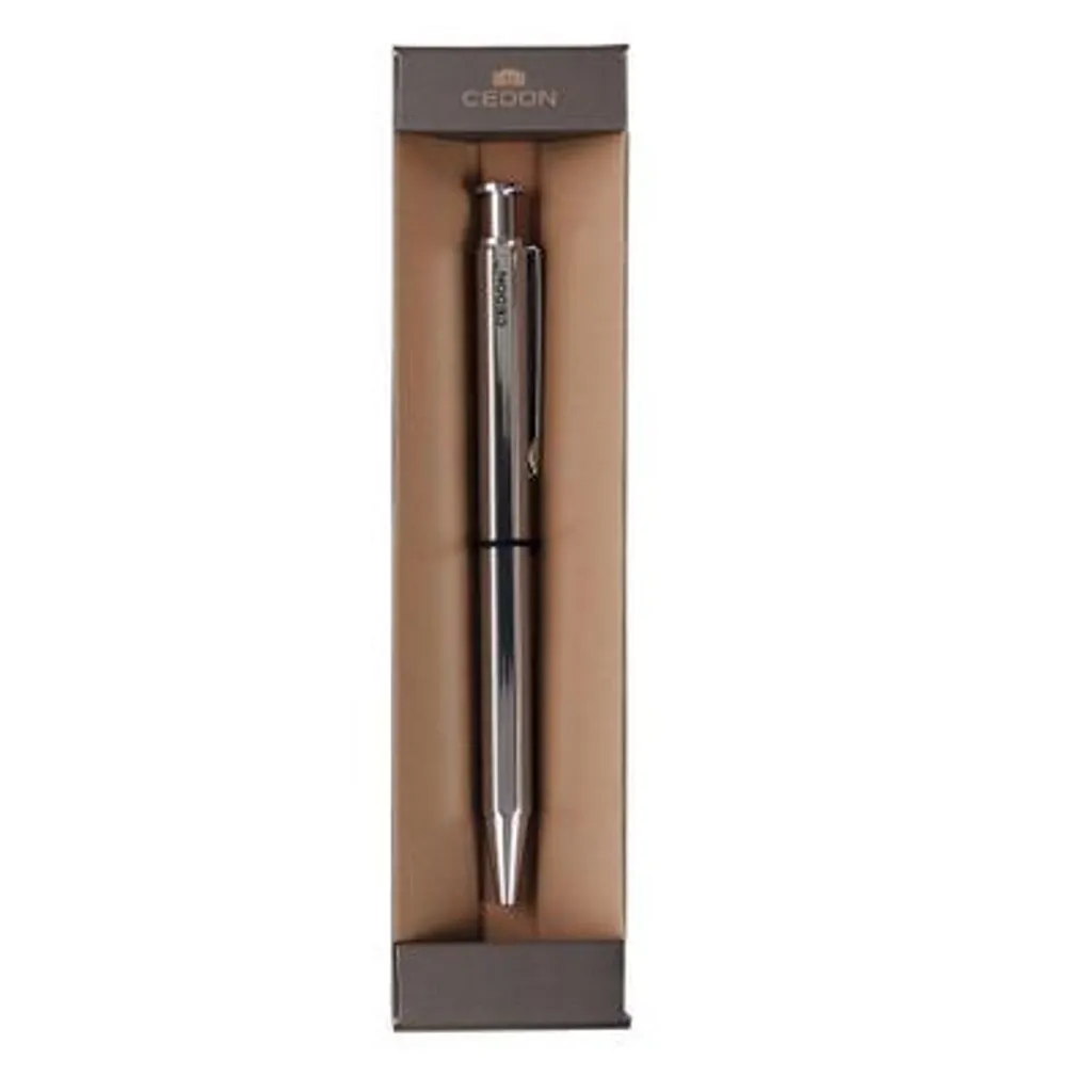 Stylo à bille dans son coffret argenté élégant pour une écriture fluide