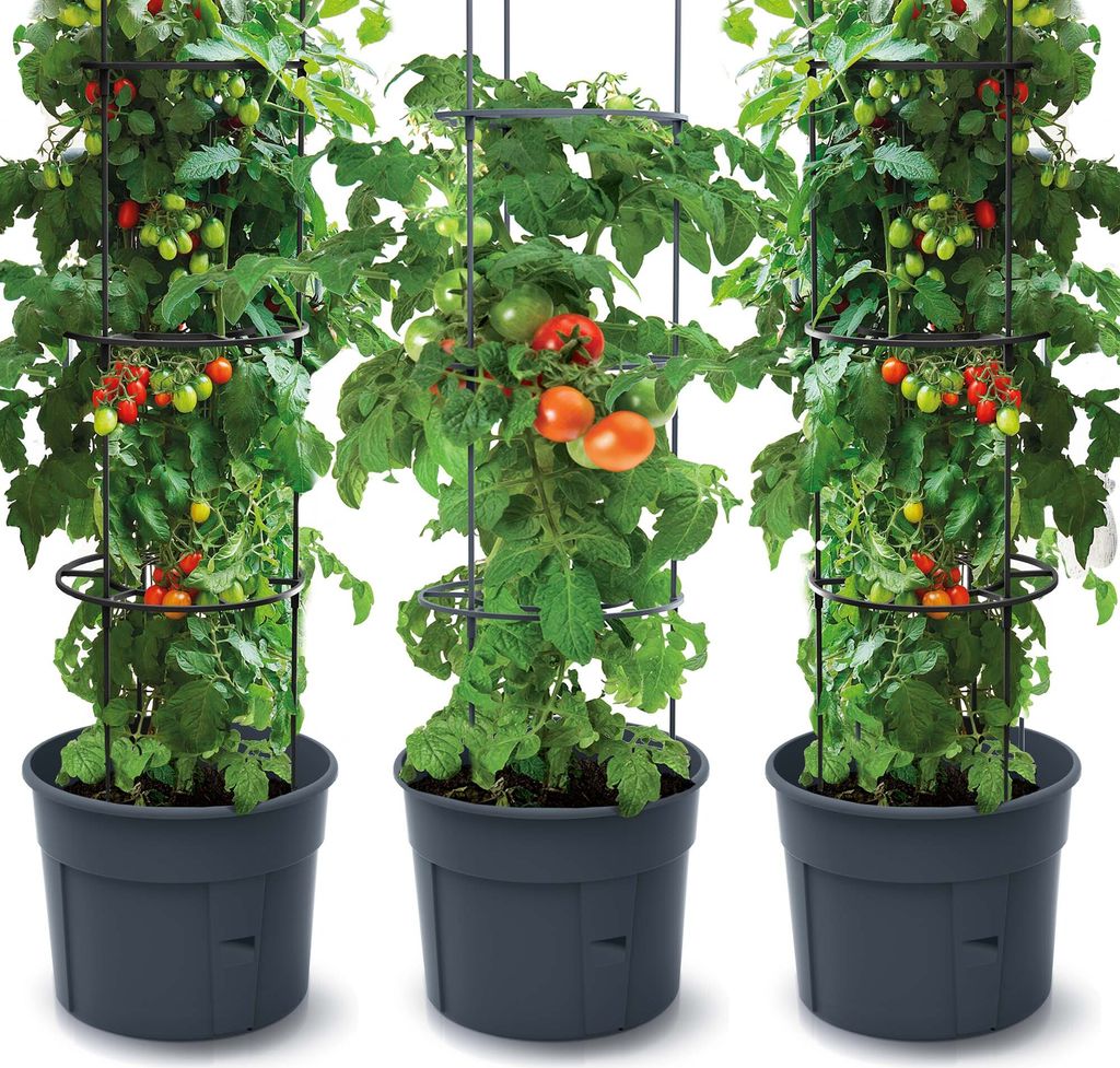 Doniczka Planter Do Uprawy Pomidorów Donica 28L X3 Zdjęcie produktu 