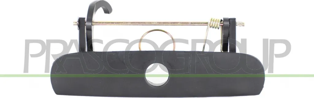 Poignée de hayon PRASCO VG0238303 pour Polo 9N - OE 6Q6827565AGRU Gris