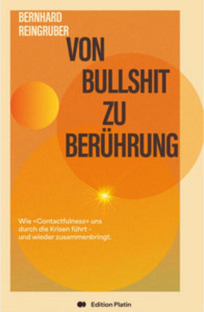 Buch über Beziehungsfähigkeit: Schlüssel zur Krisenüberwindung mit 7 erfahrungsbasierten Schritten