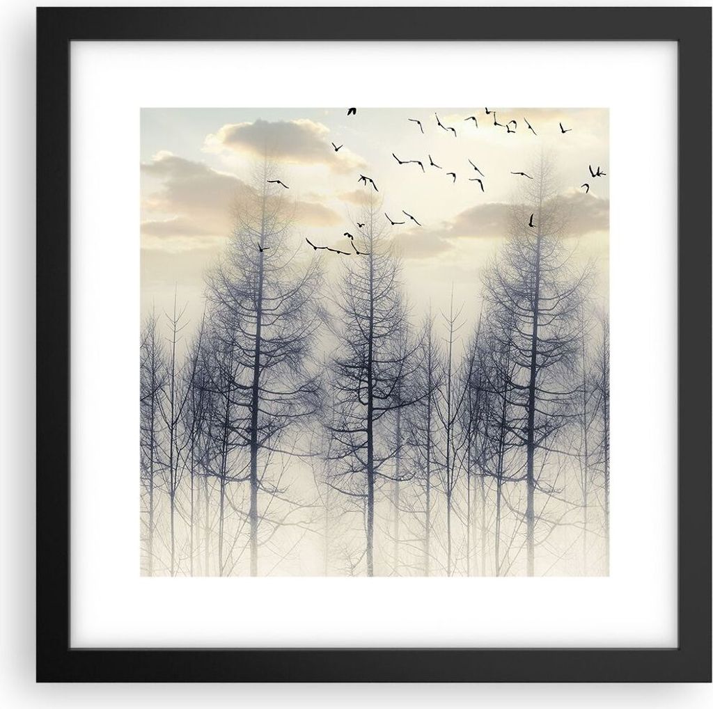 Gerahmtes Poster - Schwarzer Rahmen - Bäume Vögel Himmel - 30x30 cm - Wand Bild - Wanddeko - Wandbilder - Kunstposter - Wandposter - Bilderrahmen...