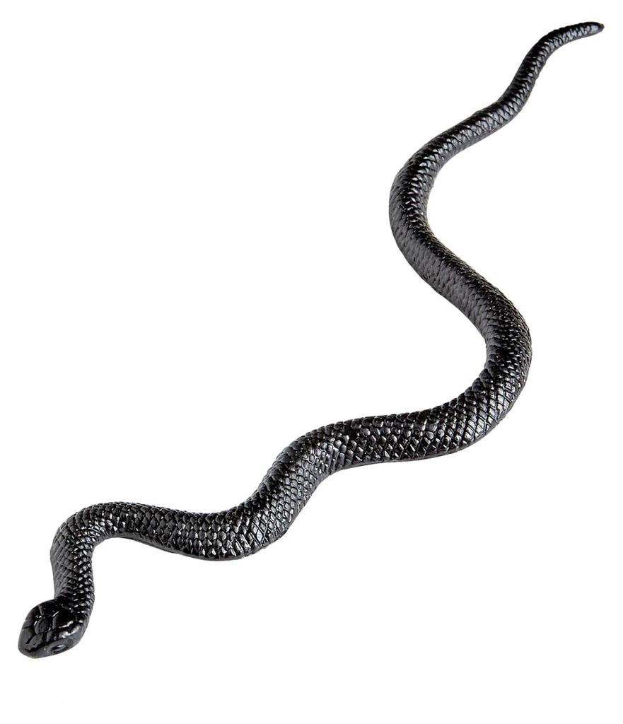 Serpenti decorazione di Halloween 12 pezzi 12 cm - taglia Immagine del prodotto 
