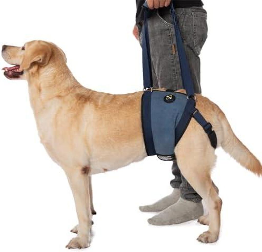 Hundetragetasche für Hunde, Hebegeschirr für die Hinterbeinstütze, Senior Hundegeschirr für schwache Hinterbeine nach ACL-Operationen (M)