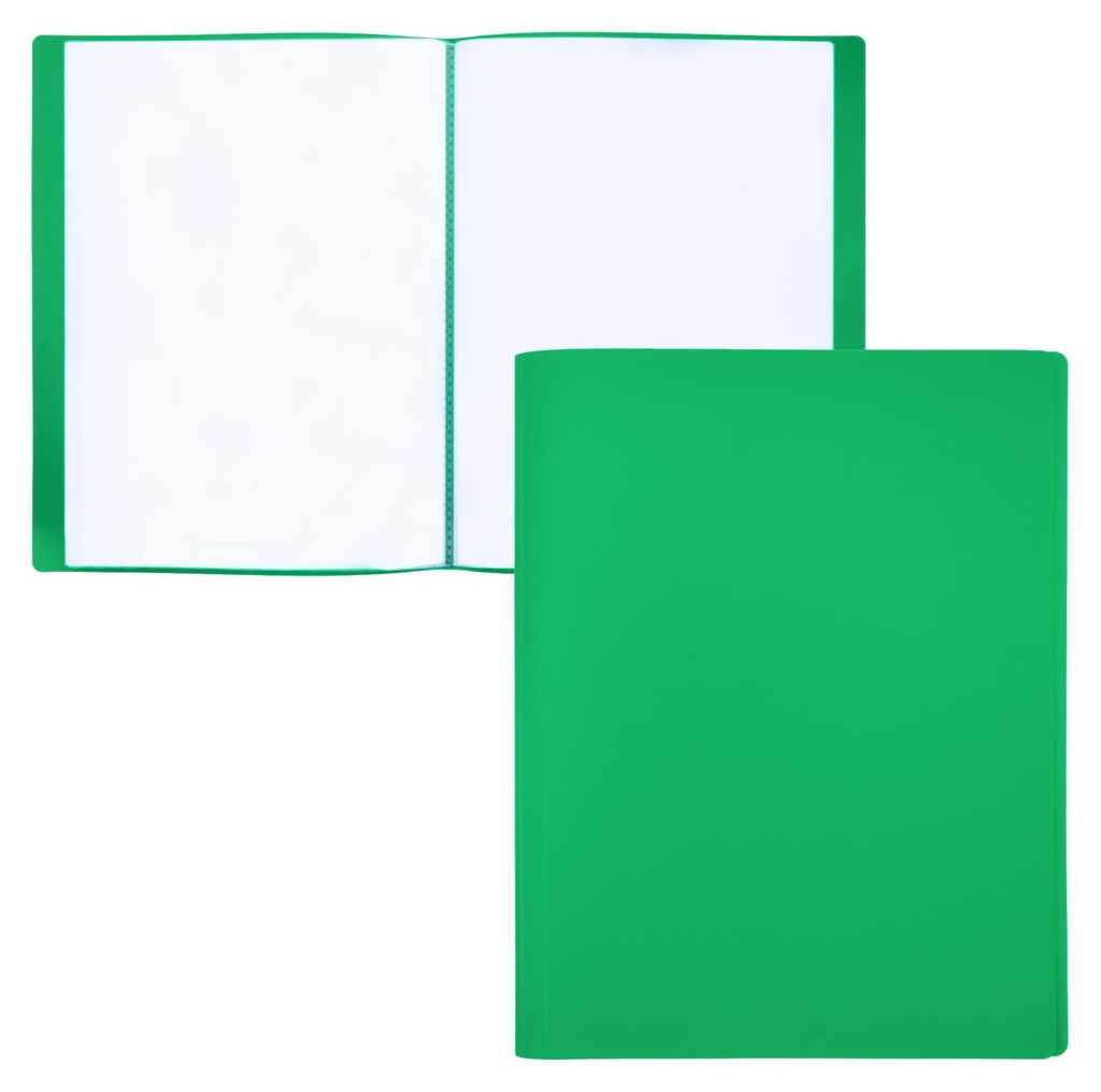 Mappe mit transparenten A4-Hüllen, 30 transparente Hüllen aus 100 % recycelbarem Polypropylen, umweltfreundliche Dokumentenmappe