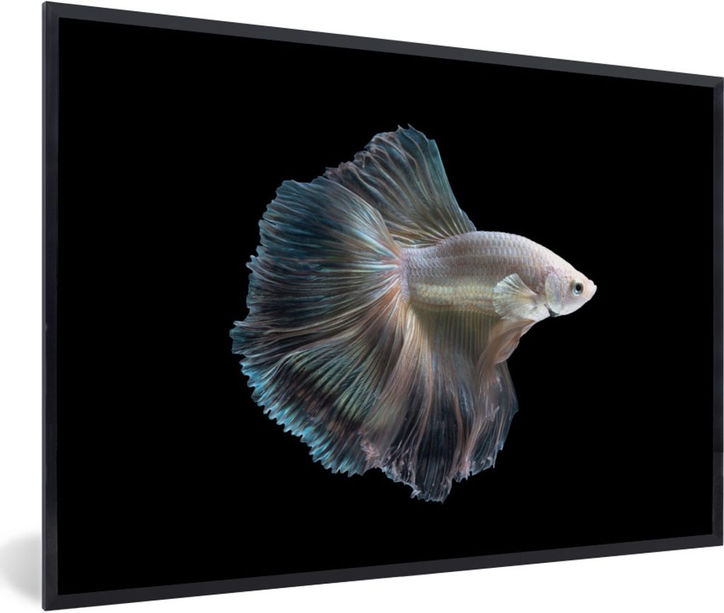 MuchoWow Gerahmtes Poster Fisch - Schwanz - Weiß 60x40 cm - Poster mit Schwarzem Bilderrahmen Wandposter Rahmen Foto Bilder - Printing - Wanddek...