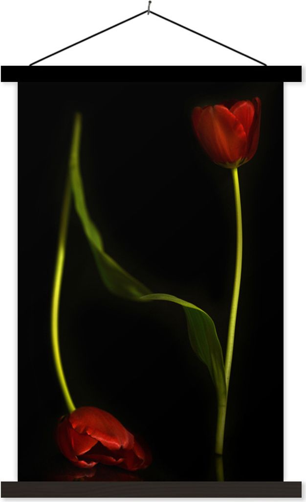 MuchoWow Textilposter Zwei rote Tulpen auf schwarzem Hintergrund 40x60 cm mit schwarzem Rahmen - Wanddekorationen