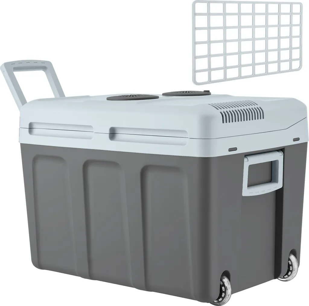 Glacière électrique 40 L chaud froid avec roulettes et poignées - Gris