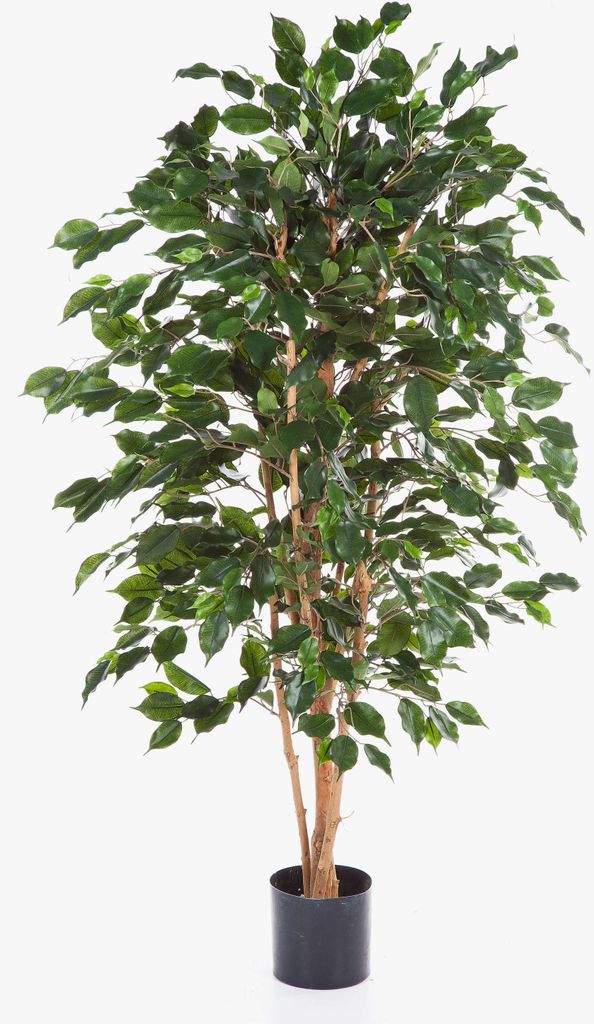 artplants.de Künstlicher Ficus Exotica, 495 Blätter, 120cm - Kunstficus - Kunstbaum - Künstliche Zimmerpflanze